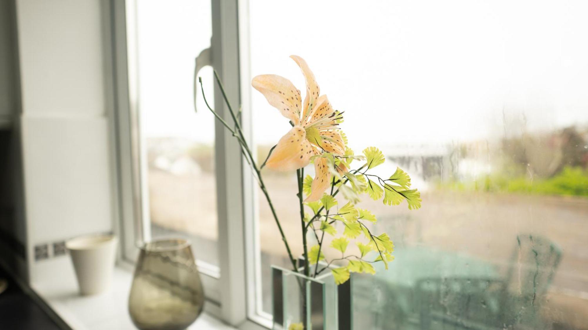 Apartment On High Street Saltdean Ngoại thất bức ảnh